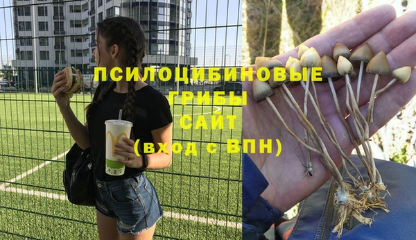 ALPHA PVP Тихорецк