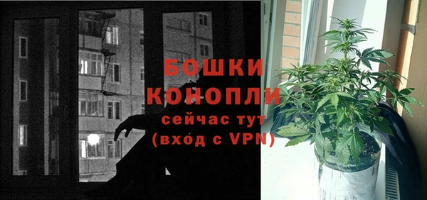 гидра Сясьстрой